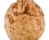 ȚELINĂ RĂDĂCINĂ KG