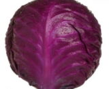 VARZĂ ROȘIE 100GR