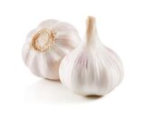 USTUROI CĂPĂȚÂNĂ 100GR