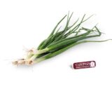 CEAPĂ VERDE LEGATURA