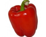 ARDEI CALIFORNIA ROȘU 100GR