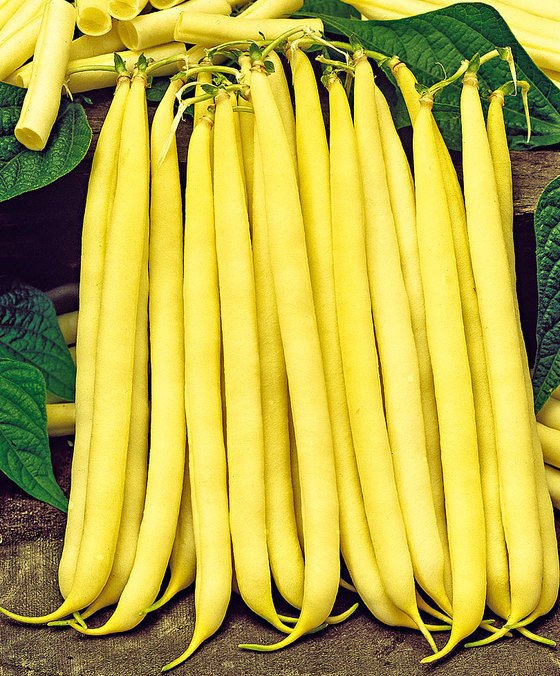 FASOLE PĂSTĂI 100GR