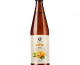 NECTAR DE CAISE DACIA PLANT 500ML