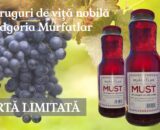 MUST 1L MURFATLAR