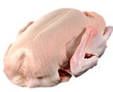 RATA INTREAGA CURTEA BRANCOVENEASCA