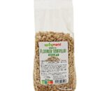 MIEZ DE FLOAREA SOARELUI 125GR SPRINGMARKT