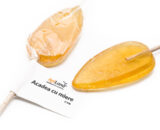 ACADELE CU MIERE 10GR APILAND