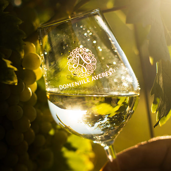 VIN DE MASA ALB SEC ZGHIHARA AVERESTI 2L HUSI